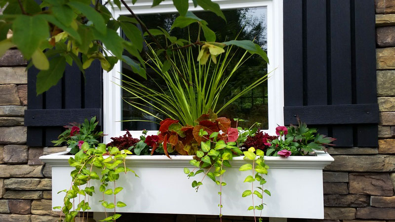 Easy care window boxes with seasonal plantings enhances ordinary windows. 